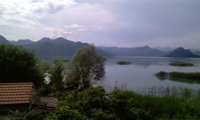 IMAG0404.jpg (71.84 Kio) Consulté 27375 fois IMAG0404.jpg