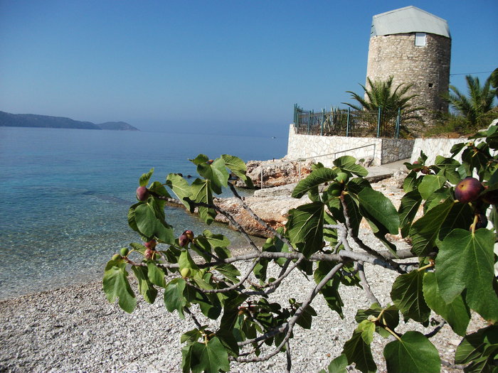 DSCF0271.JPG (2.62 Mio) Consulté 42220 fois DSCF0271.JPG