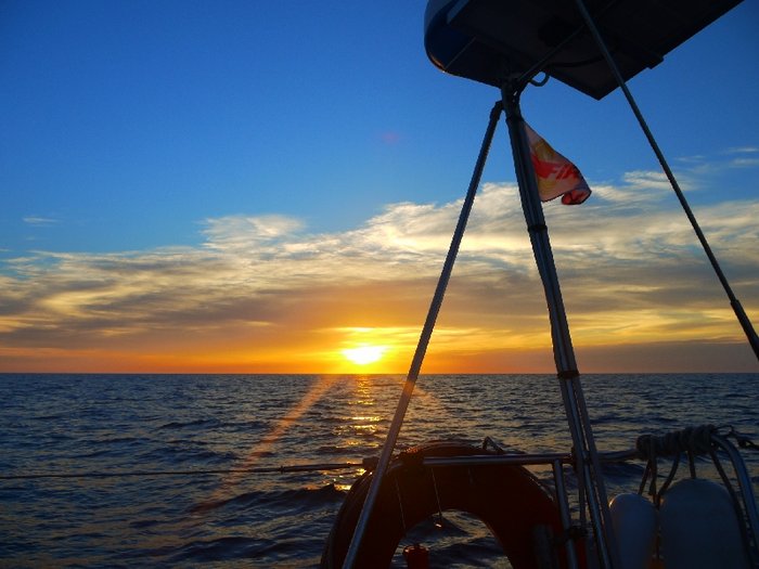 P1000931.JPG (361.09 Kio) Consulté 29299 fois P1000931.JPG