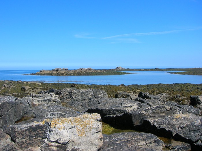 DSCN3069.jpg (709.56 Kio) Consulté 14857 fois DSCN3069.jpg