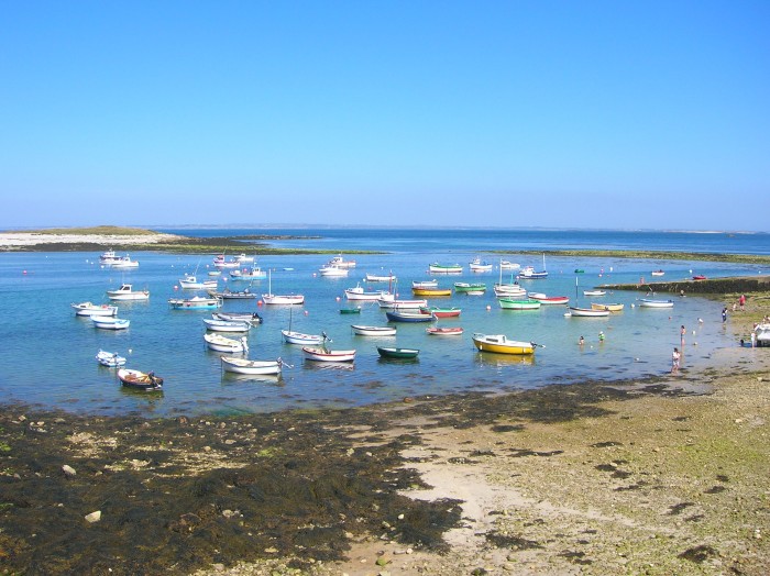 DSCN3074.jpg (712.42 Kio) Consulté 14857 fois DSCN3074.jpg