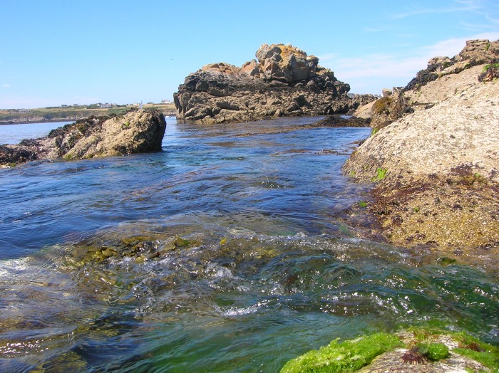 DSCN3106.jpg (783.67 Kio) Consulté 14857 fois DSCN3106.jpg