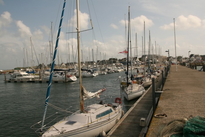 rushcup_5.jpg (223.14 Kio) Consulté 29441 fois rushcup_5.jpg