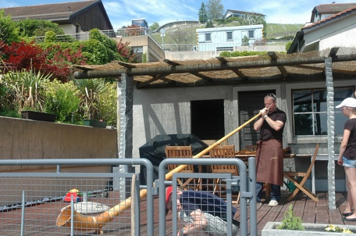 DSC_0413_800.jpg (268.81 Kio) Consulté 27597 fois DSC_0413_800.jpg