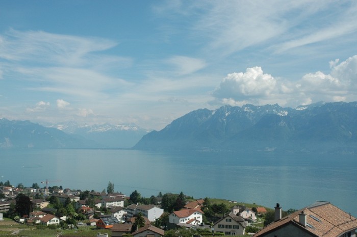 DSC_0419_800.jpg (145.19 Kio) Consulté 27597 fois DSC_0419_800.jpg