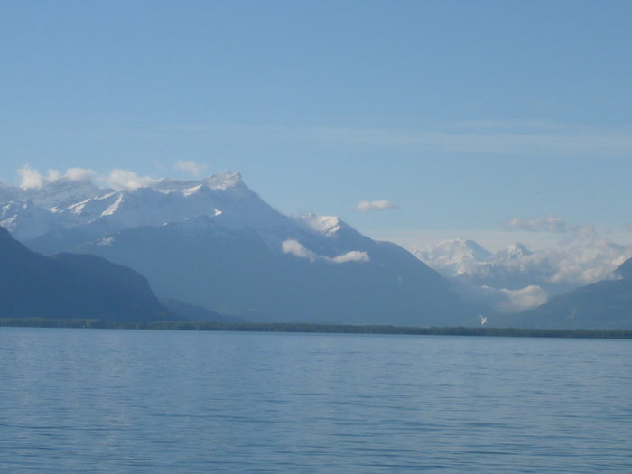 P1020551.JPG (604.62 Kio) Consulté 23013 fois P1020551.JPG