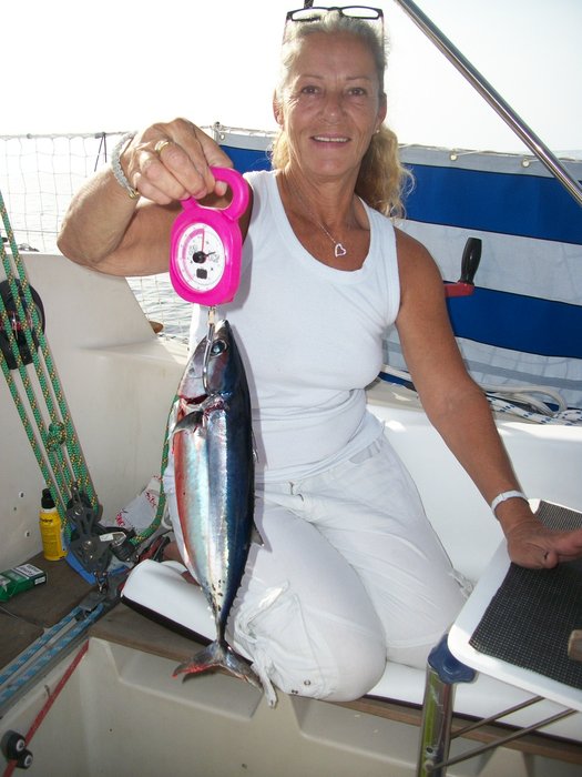 21 oct 2014 pêché un thon 900 grs !!!!! route vers PENICHE (12).JPG (449.3 Kio) Consulté 20397 fois notre 2ème pêche un thon !!!!! 900grs !!!