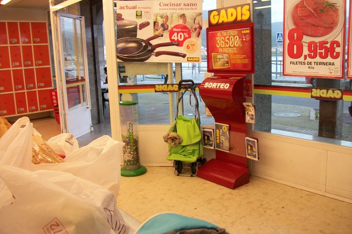 18 octobre 2014 visite de MUROS ( notre 4ème escale !!!) Espagne (6).JPG (2.14 Mio) Consulté 20930 fois interdit aux chiens ds les magasins !!! on a trouvé la solution !!!!!!!!!