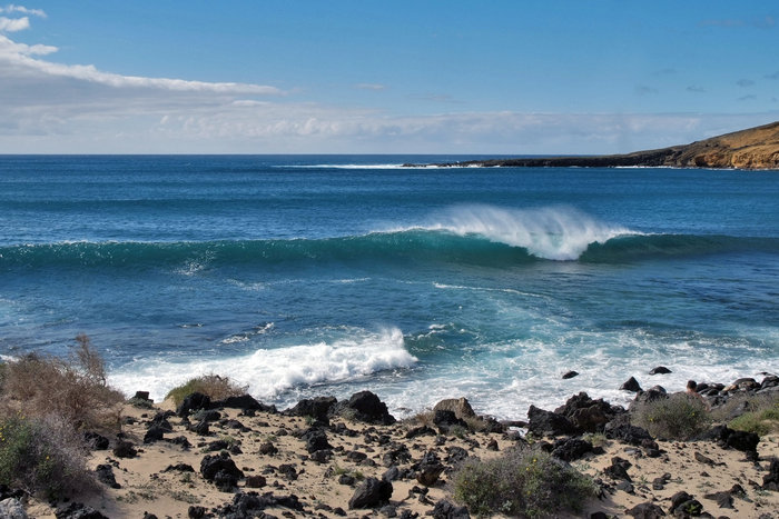 _DSF4307.JPG (789.5 Kio) Consulté 24690 fois petit coucou de l'ile de Graciosa