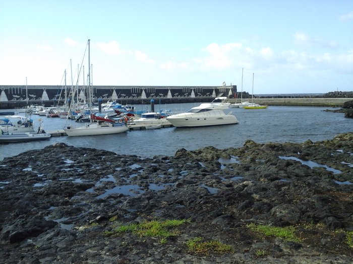 20151016_101238.jpg (1.13 Mio) Consulté 23745 fois Daltica à La Restinga