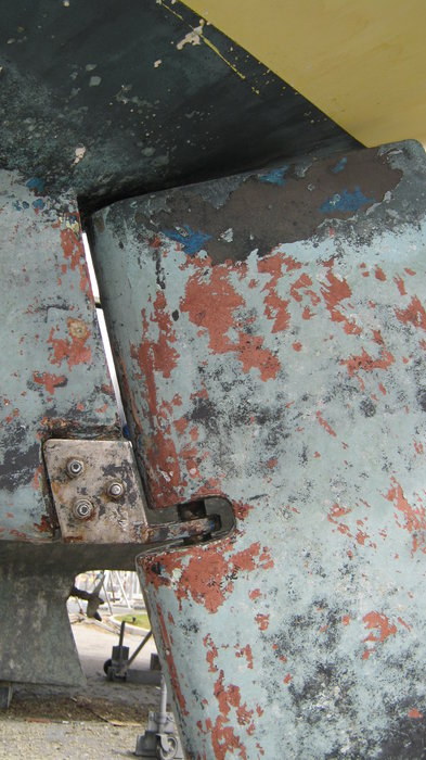 IMG_3978.JPG (2.34 Mio) Consulté 30121 fois crapaudine delph32