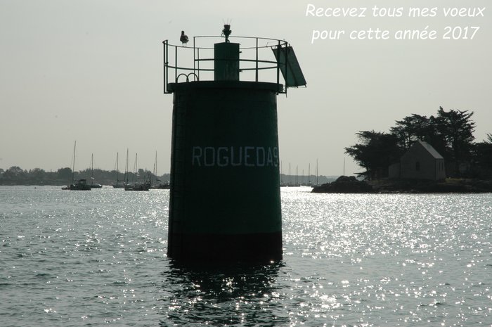 Voeux_2017.JPG (636.02 Kio) Consulté 27435 fois Voeux_2017.JPG