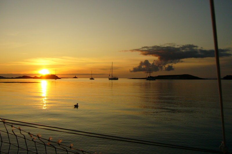 P1060627.JPG (512.96 Kio) Consulté 18725 fois P1060627.JPG