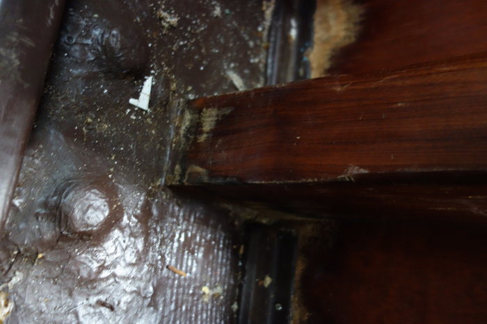 Epontille pied_1.JPG (3.27 Mio) Consulté 33133 fois Epontille pied_1.JPG