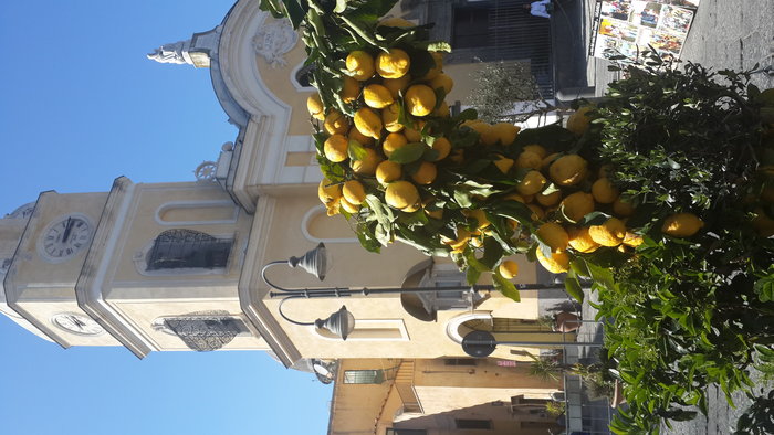 20170414_151608.jpg (3.7 Mio) Consulté 29577 fois Les citrons de Procida