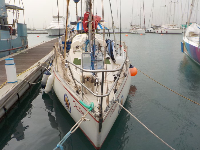 22 déc 2017 MINDELO (18).JPG (6.31 Mio) Consulté 36851 fois 22 déc 2017 MINDELO (18).JPG