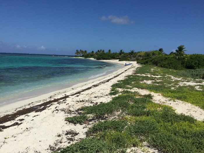 IMG_2808.JPG (2.97 Mio) Consulté 34417 fois IMG_2808.JPG