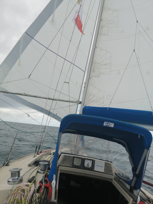 IMG_20220628_114839.jpg (644.64 Kio) Consulté 10318 fois IMG_20220628_114839.jpg