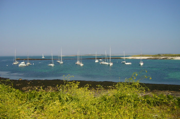 P1080143.JPG (615.25 Kio) Consulté 20214 fois P1080143.JPG