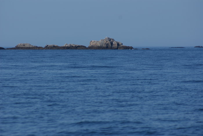 DSC00672.JPG (2.16 Mio) Consulté 22579 fois DSC00672.JPG