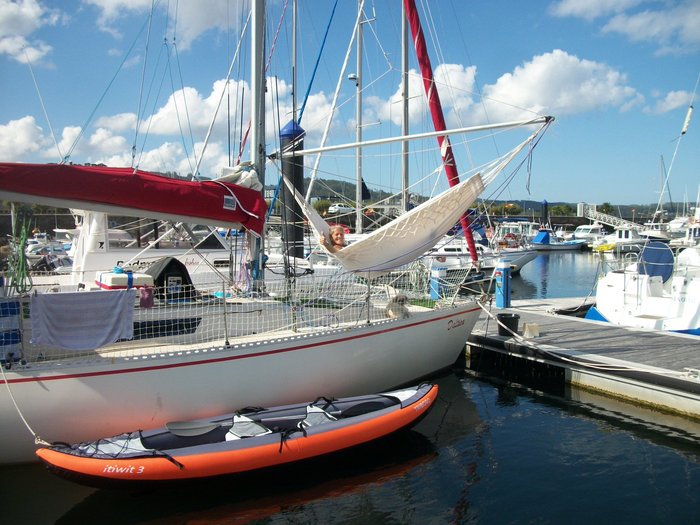 Daltica peniche