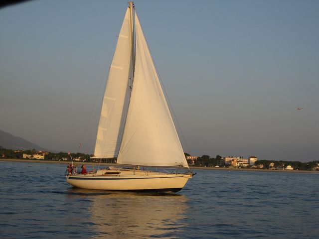 Med2007