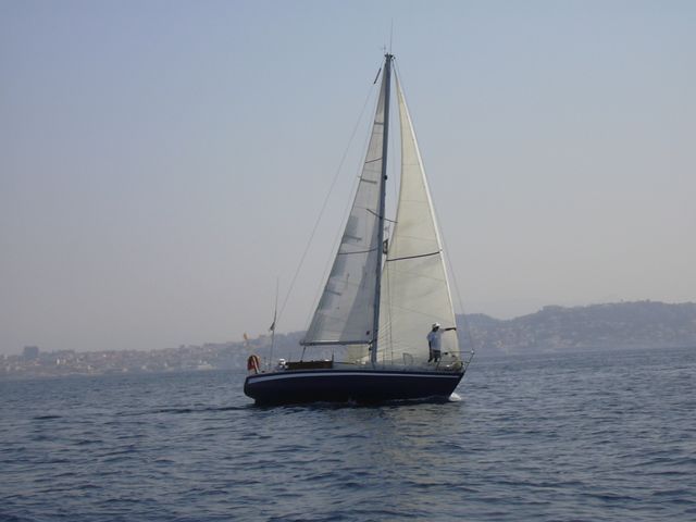 Med2007
