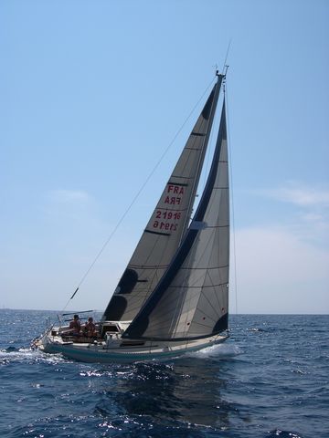 Med2007