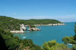 gargano.jpg