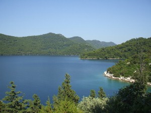 lac_mijet.jpg