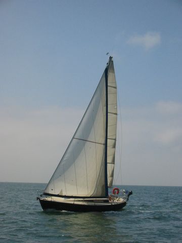 Med2007