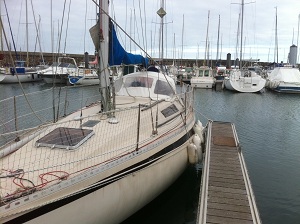 Glouton_300