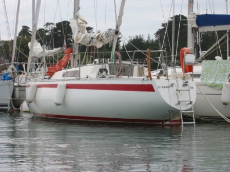 cirrus__2.jpg
